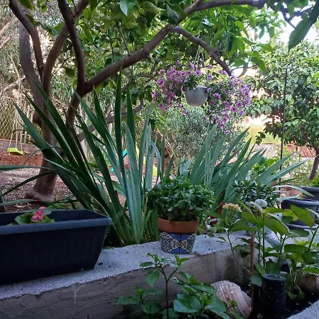 Apartment With Garden Vela Luka
